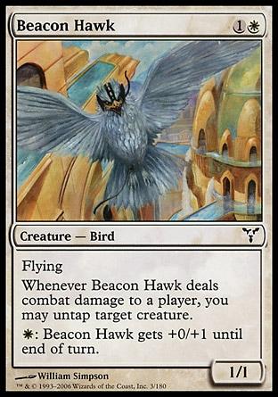 Falcão-Guia / Beacon Hawk