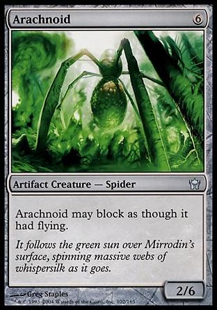 Aracnóide / Arachnoid