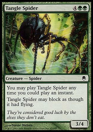 Aranha do Emaranhado / Tangle Spider