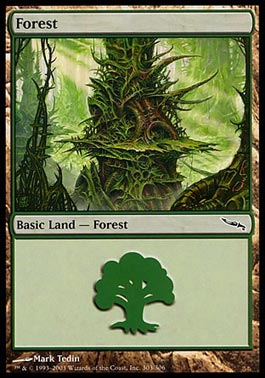 Floresta (#303) / Forest (#303)