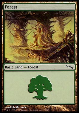 Floresta (#304) / Forest (#304)