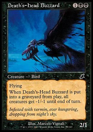 Busardo Cabeça-da-Morte / Deaths-Head Buzzard