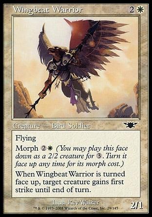 Guerreiro Bate-Asas / Wingbeat Warrior