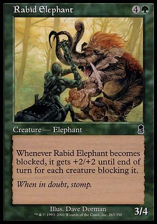 Elefante Raivoso / Rabid Elephant