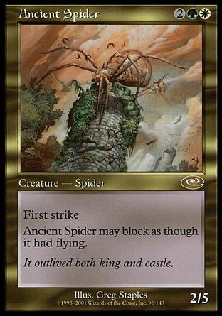 Aranha Anciã / Ancient Spider