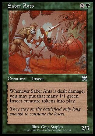 Formigas Sabre / Saber Ants