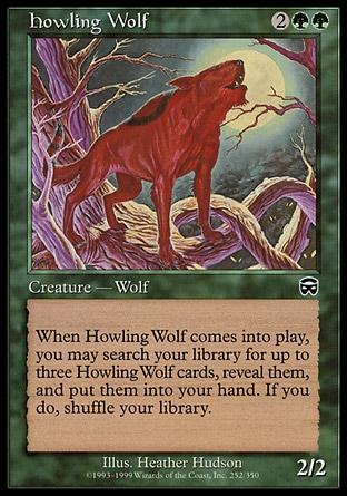 Lobo Uivador / Howling Wolf