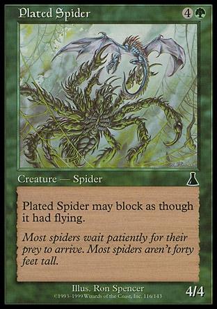 Aranha de Couraça / Plated Spider