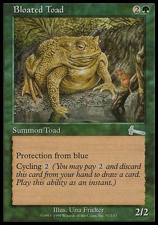 Sapo Inchado / Bloated Toad