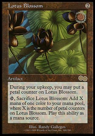 Flor de Lótus / Lotus Blossom