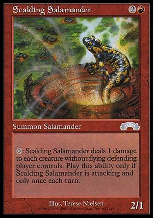 Salamandra Escaldante / Scalding Salamander