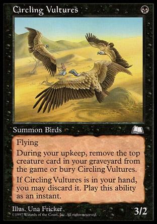 Abutres Circulantes / Circling Vultures