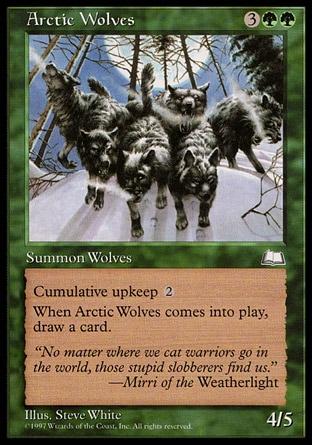 Lobos do Ártico / Arctic Wolves