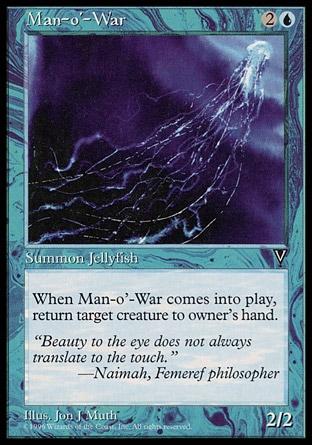 Physalia / Man-o-War