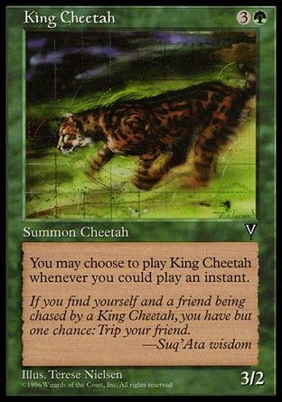 Guepardo Rei / King Cheetah