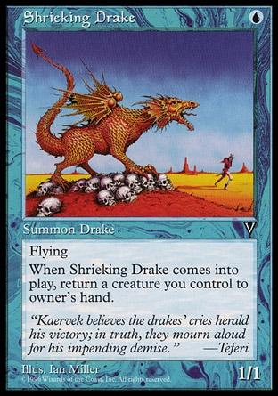 Dragonete Guinchador / Shrieking Drake