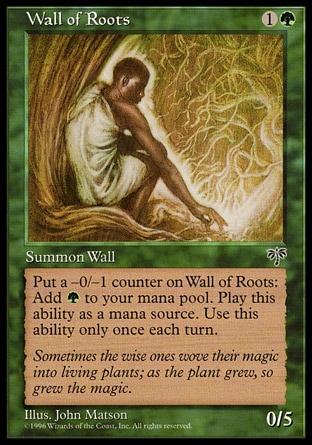 Barreira de Raízes / Wall of Roots