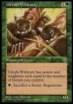 Gatos Selvagens de Uktabi / Uktabi Wildcats