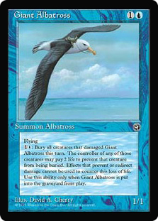 Albatroz Gigante (Ocean) / Giant Albatross (Ocean)