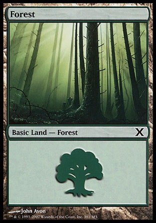 Floresta (#381) / Forest (#381)