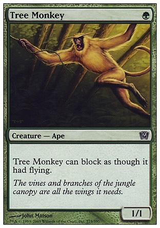 Macaco Arbóreo / Tree Monkey