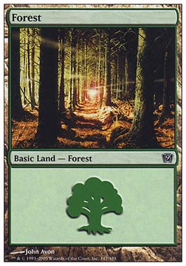 Floresta (#347) / Forest (#347)
