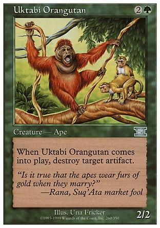 Orangotango de Uktabi / Uktabi Orangutan
