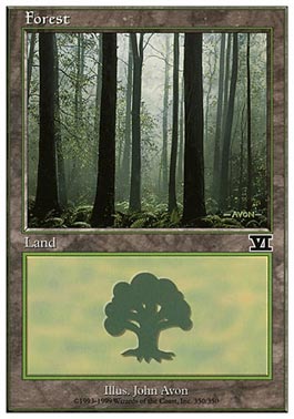 Floresta (#350) / Forest (#350)