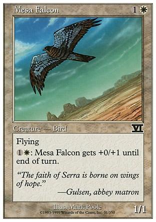 Falcão de Meseta / Mesa Falcon