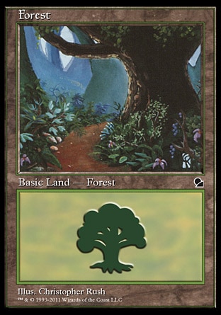 Floresta (2) / Forest (2)