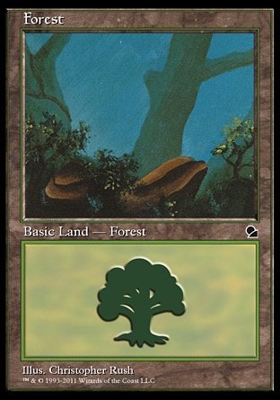 Floresta (1) / Forest (1)