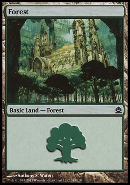 Floresta (#318) / Forest (#318)