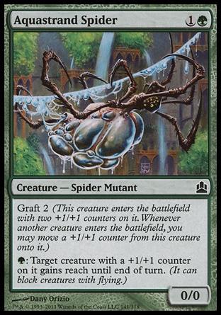 Aranha Fios DÁgua / Aquastrand Spider
