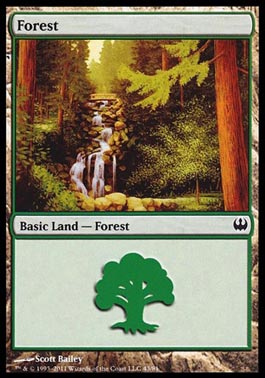 Floresta (#43) / Forest (#43)