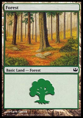 Floresta (#45) / Forest (#45)