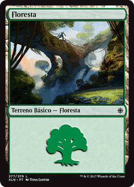 Floresta (#277) / Forest (#277)