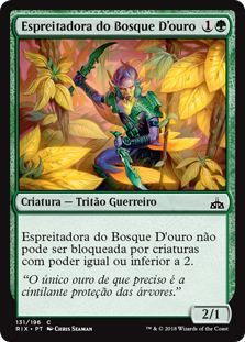 Espreitadora do Bosque Douro / Giltgrove Stalker