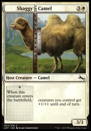 Shaggy Camel