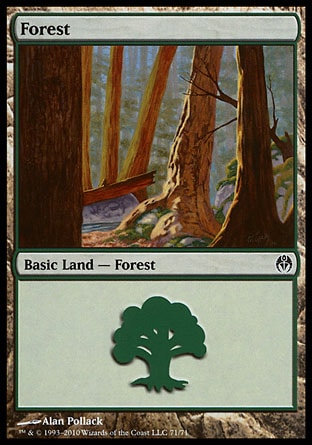 Floresta (#71) / Forest (#71)