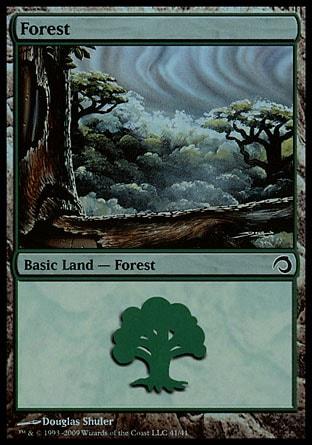 Floresta (#41) / Forest (#41)