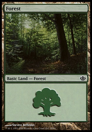 Floresta (#30) / Forest (#30)