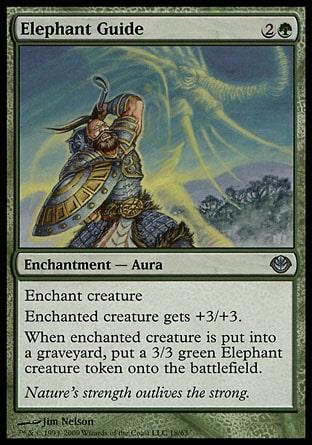 Elefante Guia / Elephant Guide