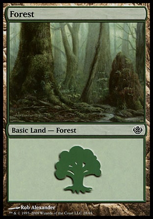 Floresta (#28) / Forest (#28)