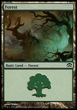 Floresta (#167) / Forest (#167)