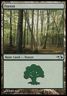 Floresta (#29) / Forest (#29)
