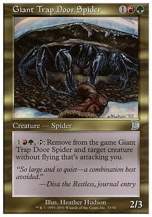Aranha Armadeira Gigante / Giant Trap Door Spider