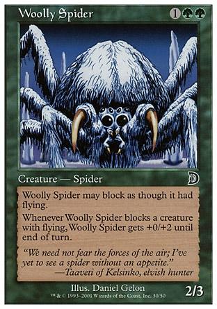 Aranha Lanosa / Woolly Spider