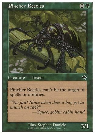 Besouros Beliscadores / Pincher Beetles