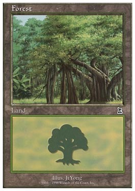 Floresta (Portal Three Kingdoms #2) / Forest (Portal Three Kingdoms #2)
