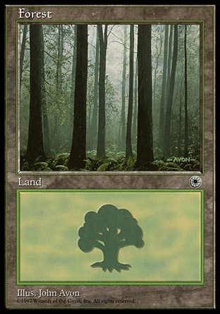 Floresta (3) / Forest (3)
